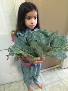 Catie with the Cabbage she grew in her garden